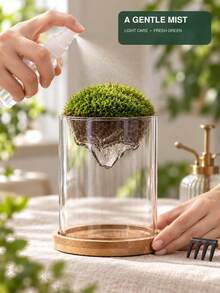 Creative Floating Mountain Landscape Glass Plant Terrarium, Dual-Use Moss Bonsai & Hydroponic Flower Vase, Bamboo Wood Base Collectible Display Ornament, Suitable For Photos, Stones, Shells And Other Small Items, Modern Home Desktop Decor, Multiple Sizes Available - A - View 4