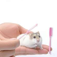 10pcs Mini Pet Combs For Hamsters, Golden Hamsters, Fancy Rats, Rabbits, Shedding, Floating Hair, Tangles, Long Hair Grooming - View 3