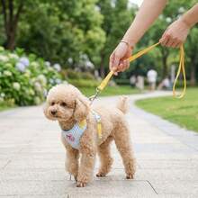 1set-Cherry Stripe Reflective Dog Harness & Leash Set, No-Pull No-Tangle Design For Stress-Free Walks, Breathable Escape-Proof Vest, Ideal For Jogging Hiking & Daily Outdoor Adventures. - Multicolor - View 6