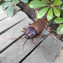 Gag Toys & Practical Jokes - Brown - View 5
