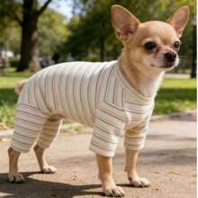 1 pieza Camiseta de base para mascotas con rayas albaricoque y cuatro patas, adecuada para gatos y perros, se puede usar para atuendos de otoño/invierno - Albaricoque - Ver 6