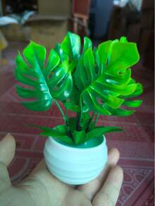 1件人造龜耳榕植物，6英吋仿真龜耳榕配6英吋白色花盆，適合桌面、餐桌裝飾、居家裝飾、辦公室書架裝飾，美化您的生活！ - 綠色 - 查看 11