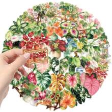 50pcs Plant Leaf Scrapbook Stickers, Transparent Waterproof PET Stickers, Suitable For Skateboard, Fridge, Laptop, Phone, Luggage. - Multicolor - View 4
