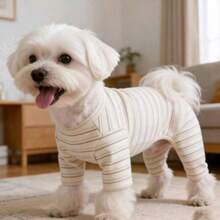 1 pieza Camiseta de base para mascotas con rayas albaricoque y cuatro patas, adecuada para gatos y perros, se puede usar para atuendos de otoño/invierno - Albaricoque - Ver 7