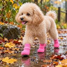 4pcs Waterproof Pet Dog Shoes, PVC Material With Anti-Slip Function, Waterproof Anti-Slip Soft Padded Sole, Equipped With Adjustable Claw Protection Device, Suitable For Medium And Large Dogs, Ideal For Outdoor Walking, Hiking, And Wet Road Surfaces. - Multicolor - View 10