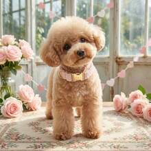 [Gold Zinc Alloy Buckle]Multi-Color Teddy Fleece Dog Collar, Pet Supplies Dog Neck Collar, Suitable For Large, Medium, Small Dog Breeds, Soft And Comfortable, Metal Buckle Easy To Fasten And Quickly Release (Due To Different Fabric Batches, There May Be Slight Color Difference, Randomly Sent) - Multicolor - View 10