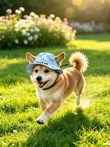 Customizable Name Pet Hat, Adjustable Dog Sun Hat, Cartoon Dog Pattern - Small Cat & Dog Pet Baseball Cap, Outdoor Sun Protection & Waterproof, Multiple Colors Available - Multicolor - View 9
