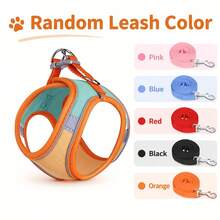 Escape Proof Cat Harness Vest, Soft Mesh Adjustable Walking Harness For Cats, Comfortable Outdoor Travel Vest For Kitten Puppy Random Color Leash - Multicolor - View 10