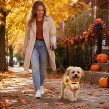 1pc Halloween Striped Pumpkin Ghost Print Pet Sleeveless Vest, Breathable Vest, Suitable For Small Dogs, Medium Dogs And Cats - Multicolor - View 6