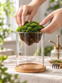 Creative Floating Mountain Landscape Glass Plant Terrarium, Dual-Use Moss Bonsai & Hydroponic Flower Vase, Bamboo Wood Base Collectible Display Ornament, Suitable For Photos, Stones, Shells And Other Small Items, Modern Home Desktop Decor, Multiple Sizes Available - A - View 9