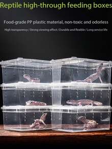 2pcs Reptile Breeding Box For Amphibians, Snails, Spiders, Geckos, Horned Frogs, Large Turtle Tank With Hide And Decor - Multicolor - View 1