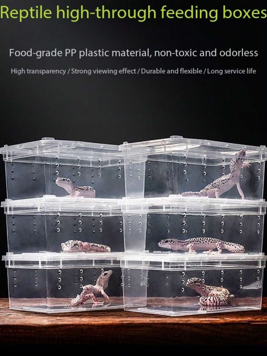 2pcs Reptile Breeding Box For Amphibians, Snails, Spiders, Geckos, Horned Frogs, Large Turtle Tank With Hide And Decor - Multicolor - View 1