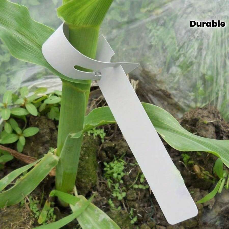 100 cái nhãn vòng làm vườn, nhãn cây và nhãn cây con, phù hợp cho vườn ươm, cây ngoài trời, cây lớn và cây con.