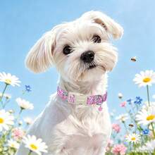 Vòng cổ chó in hoa dễ thương kèm charm hoa, vòng cổ thú cưng mềm điều chỉnh được dùng hàng ngày với khóa bấm nhanh và khoen D hợp kim kẽm, dành cho chó và mèo cỡ nhỏ, vừa, lớn, quà tặng hàng ngày tuyệt vời cho thú cưng đực và cái - Hồng - Xem 9
