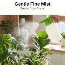 67.63 Oz Pressure Sprayer | Manual Pump Garden Sprayer | Adjustable Nozzle, Suitable For Plant Spraying. | Suitable For Watering, Cleaning And Disinfecting. | Available In Orange And White Colors. - Green & White - View 2