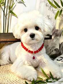 Red Bead Glass Teardrop Crystal Pendant Pet Necklace, Luxury Beaded Collar For Small And Medium Dogs And Cats, Adjustable Dog Photo Decoration Neck Collar, Versatile Pet Accessory For Cats And Dogs - Red - View 7