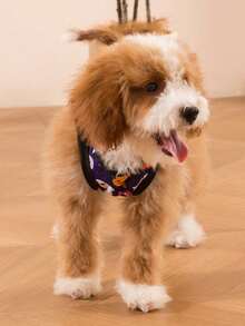 LUCKIE PAW قطعتان من سترة الحيوانات الأليفة بطباعة نمط مضحك لحروف هالوين والقرع والشبح مناسبة للكلاب والقطط الكبيرة والصغيرة للاستخدام الداخلي والخارجي - متعدد الألوان - مشاهدة 6