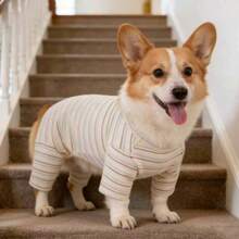 1 pieza Camiseta de base para mascotas con rayas albaricoque y cuatro patas, adecuada para gatos y perros, se puede usar para atuendos de otoño/invierno - Albaricoque - Ver 1