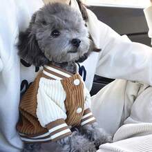 1pc Pet Ins Style Dog Baseball Jacket, Fashionable & Interesting Dog Pocket Embroidery Design, Autumn/Winter Cat & Dog Clothes - Brown - View 16