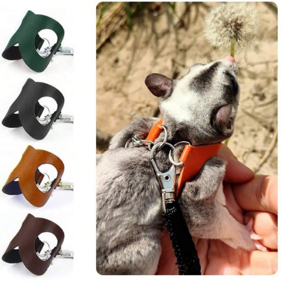 4pcs/Set Sugar Glider Leash Set Outdoor Anti-Escape Anti-Bite Rope Hamster Leash Set Golden Hamster Squirrel Small Pet Supplies - Multicolor - View 1