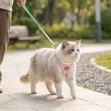 1set-Cherry Stripe Reflective Dog Harness & Leash Set, No-Pull No-Tangle Design For Stress-Free Walks, Breathable Escape-Proof Vest, Ideal For Jogging Hiking & Daily Outdoor Adventures. - Multicolor - View 5