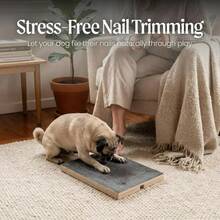 1pc Pet Dog Scratcher Board With Treat Box, Multi-Functional Nail File Toy, Adjustable Safety Durable, Reduces Furniture Damage, Enhances Pet Health Care - A - View 4
