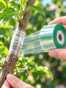 Self-Adhesive PE Grafting Tape Roll, Transparent Stretchable Waterproof Grafting Film, Suitable For Fruit Trees, Plants, Garden - A - View 6