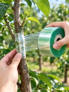 Self-Adhesive PE Grafting Tape Roll, Transparent Stretchable Waterproof Grafting Film, Suitable For Fruit Trees, Plants, Garden - A - View 2