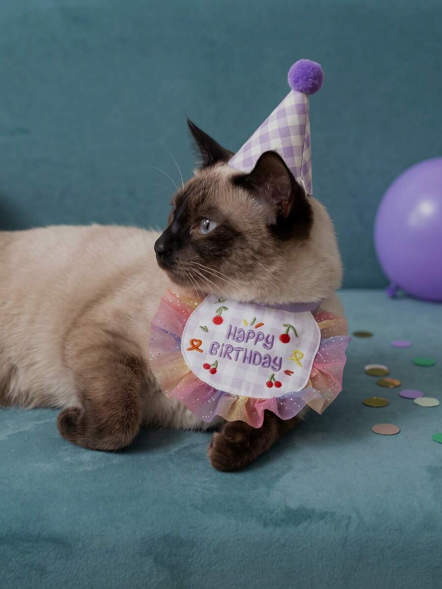 Pet Birthday Bib & Hat Set - Embroidered Letter Tassel Bib, 3D Donut Lace Hat, Adjustable Elastic, Lightweight & Cute, Multi-Color - Essential Photo Prop For Small & Medium Cats And Dogs, Holiday Outfit Matching, Party Gift