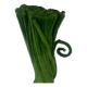 10 VERDE MUSGO