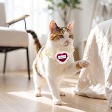 2/8pcs Cute Red Bow Collars For Dogs And Cats, Christmas Holiday Love Pet Collars, Teddy Marzis York Summer Small And Medium-Sized Dog And Cat Photo Accessories - Multicolor - View 8