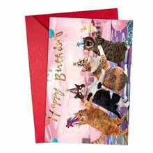 Kitten Birthday Card - Happy Birthday Cat Card - Send Her/Him Sparkle Funny Humorous Birthday Card - Vintage Glitter Sweet Kitten Birthday Card Cat Funny Happy Birthday Card With Envelope For Blessing Message Funny Card - Single Piece - View 8