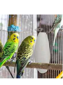 1pc Bird Cuttlebone, Parrot Chewing Toy, Bird Cage, Food, Cuttlebone, Parrot, Budgie, Cockatiel, Boston Parrot, Snail, Reptile, Professional Calcium Stone Cage Accessory, Bird Feeder - 8-10 - View 6