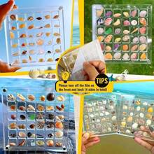 Portable Acrylic Specimen Display Box, Transparent Shell & Rock Collection Storage Organizer, Mini Gemstone, Jewelry, Small Accessories Storage Box, School Classroom & Desktop Decor - Multicolor - View 8