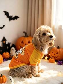 Pet Halloween Funny T-Shirt Orange & Yellow Color Block Dog Raglan Tee Dog Mesh T-Shirt Skull Print Small Dog Pomeranian Teddy Spring Summer Top Bichon Teddy Pomeranian Teddy Spring Summer Skull Print Top - Coral Orange - View 1