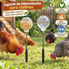 Feeder For Chickens And Poultry Interactive Foraging Toy With Flexible Spring And Ground Stake Plastic Feeder With 40cm Porous Ball - Feeder - View 4