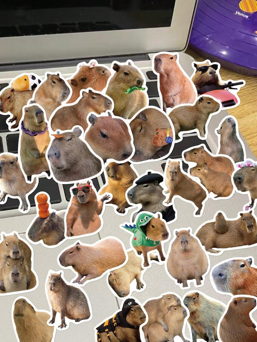 50pcs Capybara Stickers Decorative Decals For Planner Diary Scrapbook Journal Phone Case Guitar Luggage Skateboard Water Cup Envelope Greeting Card Seal - Multicolor - View 1