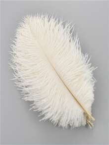 10pcs 15-35cm/6-14in Artificial Black Ostrich Feathers, Suitable For Crafts, Clothing Accessories, Feather Decoration, Centerpieces, DIY Projects, Christmas, Weddings, Masquerade Parties, Needlework And Handicrafts - 10 Ostrich Feathers, 15-35cm - View 21