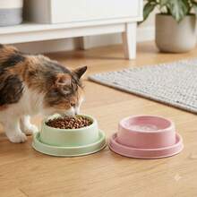 1pc Anti-Ant Pet Food Bowl, Wide Rim High Edge Non-Slip Cat Dog Feeding Bowl, With Protective Outer Ring, Spill-Proof Design, Suitable For Indoor And Outdoor Use - 500ml - View 4
