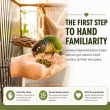 Realistic Hand-Shaped Parrot Perch, Anti-Slip Hand-Shaped Bird Cage Perch, Fun Realistic Hand Parrot Stand, Universal Bird Perch, Realistic Hand-Shaped Parrot Perch, Suitable For All Types Of Parrots - View 2