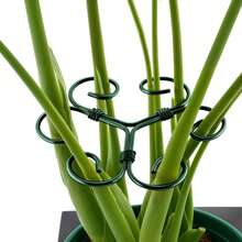 1/5pcs Green Iron Monstera Deliciosa Support, Uniquely Designed Indoor Plant Support Stake, Stable Plant Pillar And Support, Turtle Shell Bamboo Clip Set, Promote Healthy Growth - A - View 11