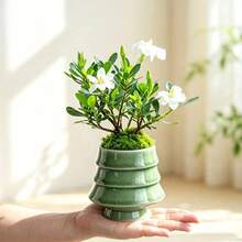 Creative Christmas Tree-Shaped Ceramic Succulent Planter For Gardening, European-Style Small Orchid Pot For Balcony Green Plants - Christmas Tree Stand - View 3