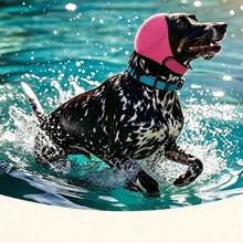 Pet Ear Protector Headgear Adjustable Pet Headgear Suitable For Thunderstorm Fireworks Travel Outdoor Use Comfortable Wear Fit For Small And Medium Dogs - Multicolor - View 4