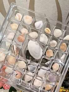Portable Acrylic Specimen Display Box, Transparent Shell & Rock Collection Storage Organizer, Mini Gemstone, Jewelry, Small Accessories Storage Box, School Classroom & Desktop Decor - Multicolor - View 4
