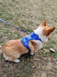 Lightweight Dog Harness: Adjustable, Durable 360-Degree Breathable Mesh Pet Vest Harness With Soft Padded Lining, No-Pull Dog Chest Strap, Adjustable Soft Pad, Dog Vest, Breathable Mesh Pad, Macaron Color Pet Dog Leash, Dog Collar, Traction Rope, Vest-Style Chest Strap Harness, Suitable For Small, Medium, Large Dogs - Blue - View 6