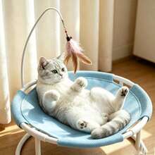 Pet Hammock/Window Perches - Blue - View 5