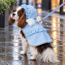 1pc Dinosaur Pet Hooded Raincoat With Extra Large Brim, Polyester Material, Reflective Strip, Full Coverage Protection, Adjustable Magic Waist Strap, Cute Animal Pattern Print, Waterproof Design, Suitable For Small And Medium Dogs Year-Round Wear, Waterproof Dog Raincoat, Hooded Dog Raincoat, Dog Raincoat - Multicolor - View 9