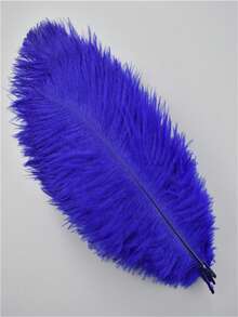10pcs 15-35cm/6-14in Artificial Black Ostrich Feathers, Suitable For Crafts, Clothing Accessories, Feather Decoration, Centerpieces, DIY Projects, Christmas, Weddings, Masquerade Parties, Needlework And Handicrafts - 10 Ostrich Feathers, 15-35cm - View 29
