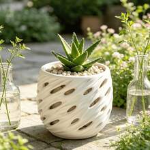 Hollow Breathable Flower Pot, Special For Caudiciform Succulents & Cacti, Creative Spiral Multi-Hole Root Control Planter, Black & White Dual Color - Hollow Planter - View 5