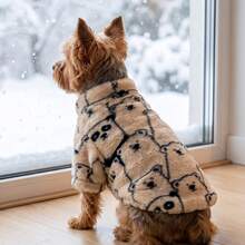 1pc Dog Coat, Cute Rabbit Fur Bear Print, Stand Collar Zipper Style Autumn/Winter Pet Jacket, Suitable For Small/Medium Dogs Puppy Clothes, Cat Clothes, Outdoor And Indoor Wear In Cold Weather - Beige - View 4